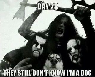 457146d4a6f155f2795250589b699688